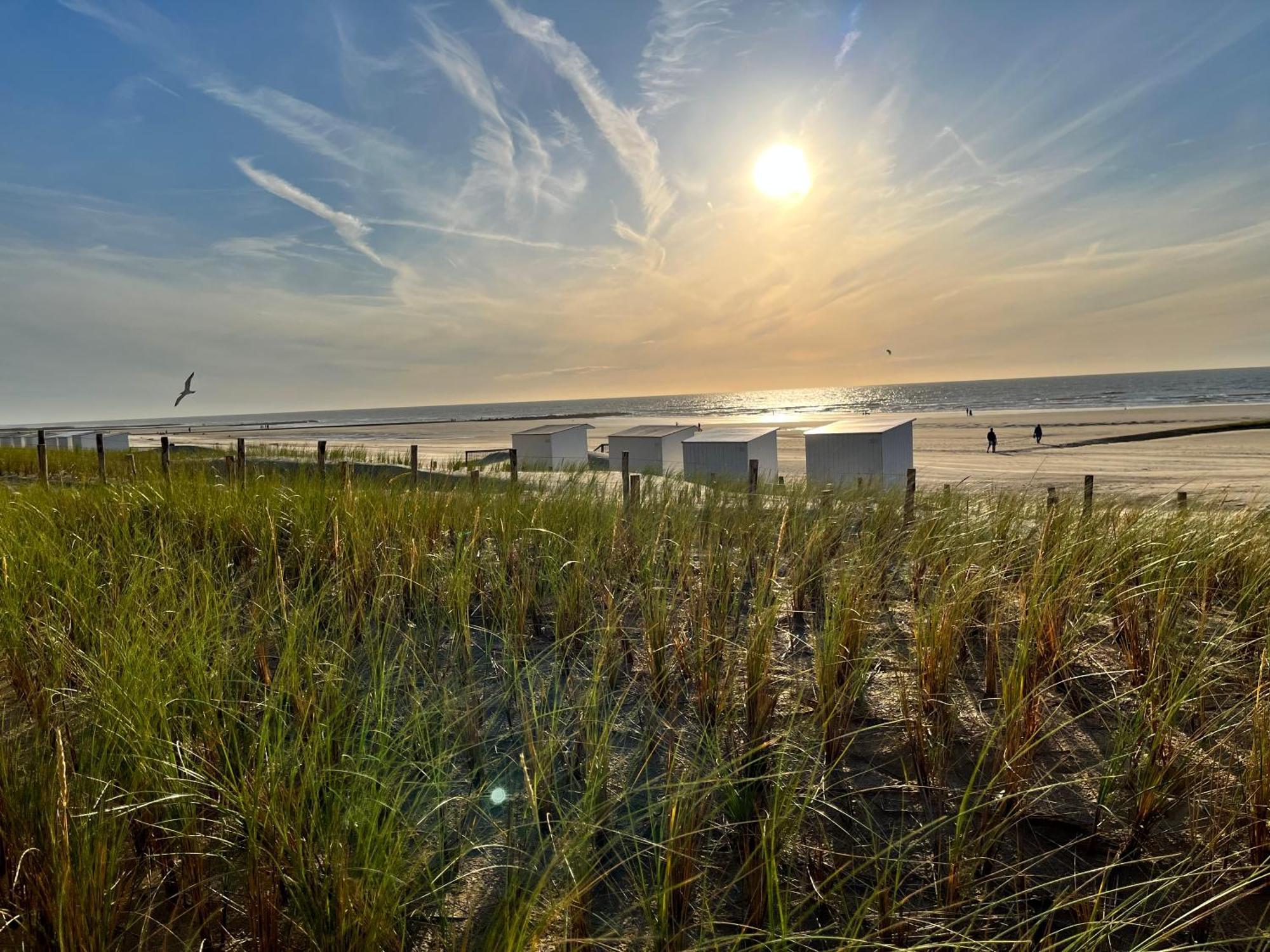 Beach Bungalow Green Vila Middelkerke Exterior foto